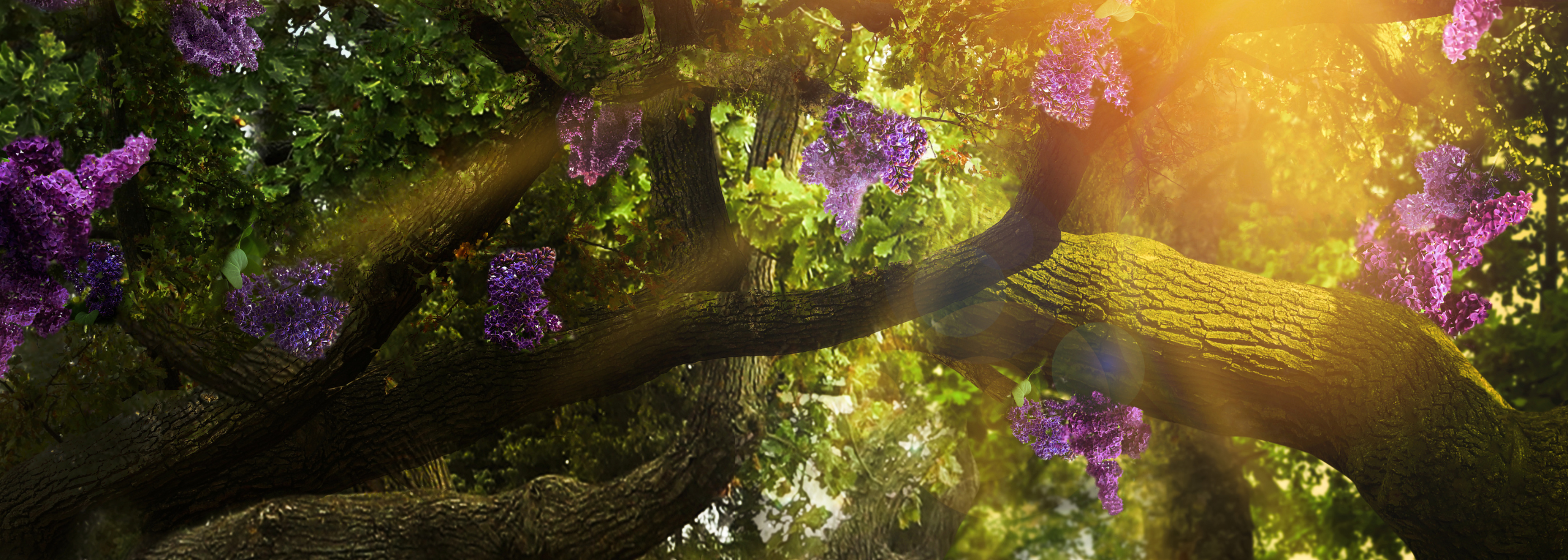 Discover your perfect scent today.