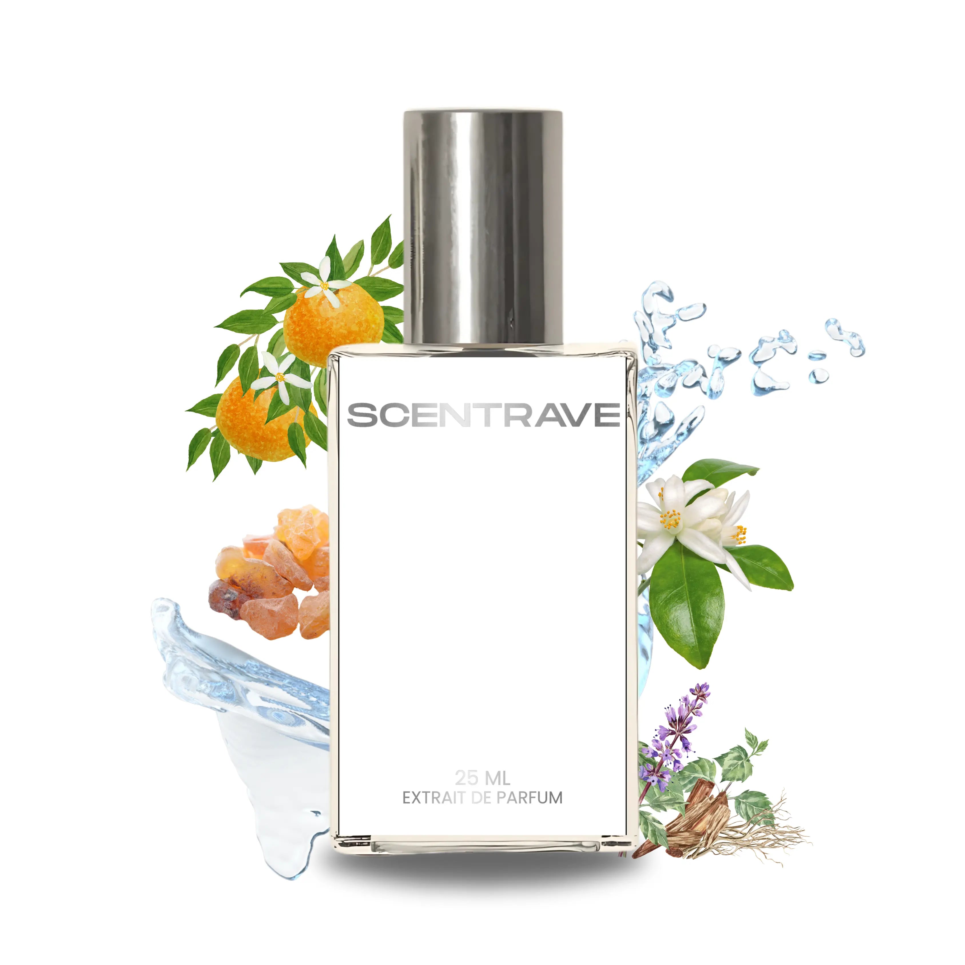 Aqva Mandrino by Scentrave — Inspired by BVLGARI Aqva Amara