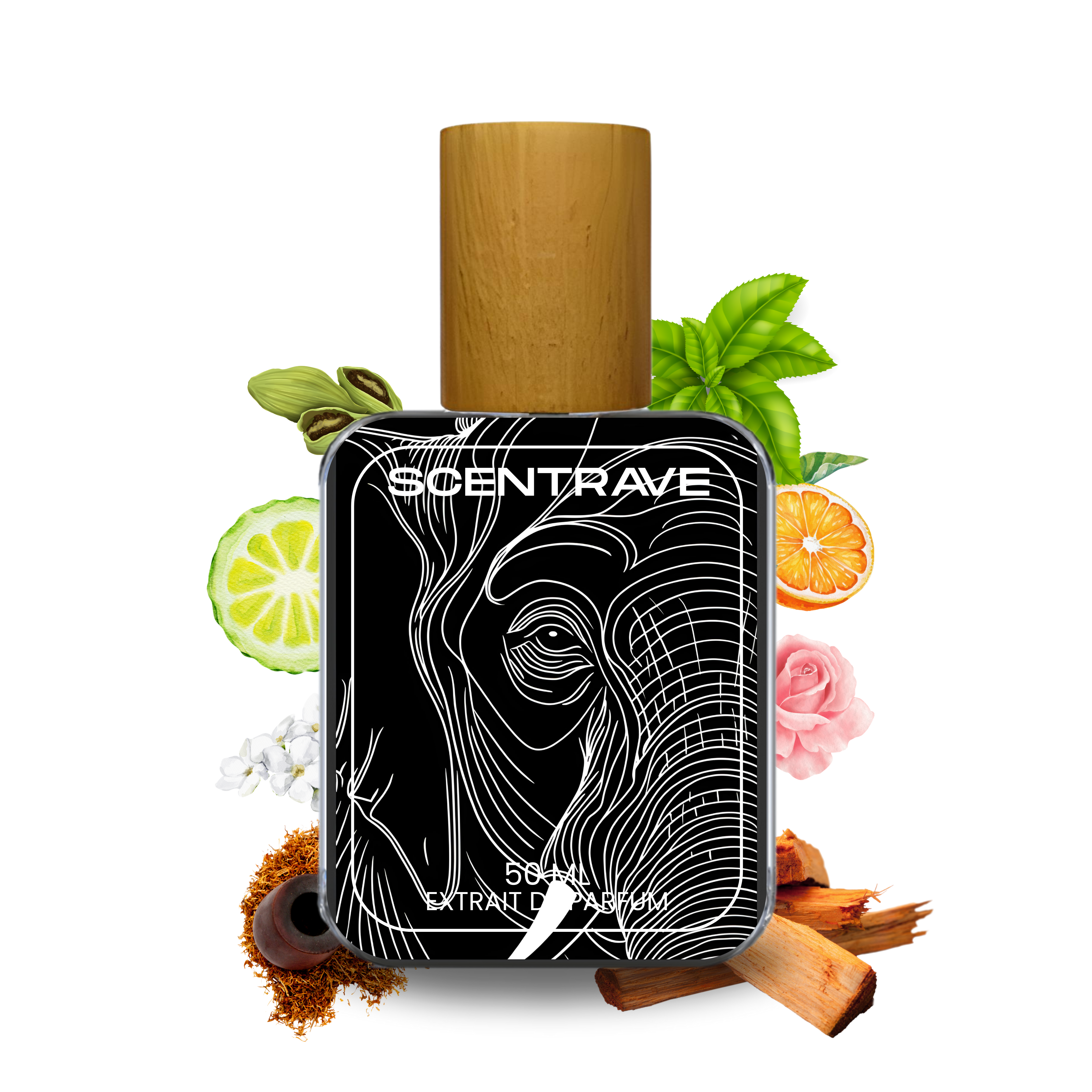 Montabac – Inspired by Montabaco by Ormonde Jayne scentrave.com