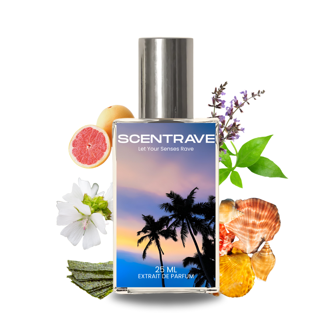 Arambol - Inspired by Jo Malone Wood Sage & Sea Salt