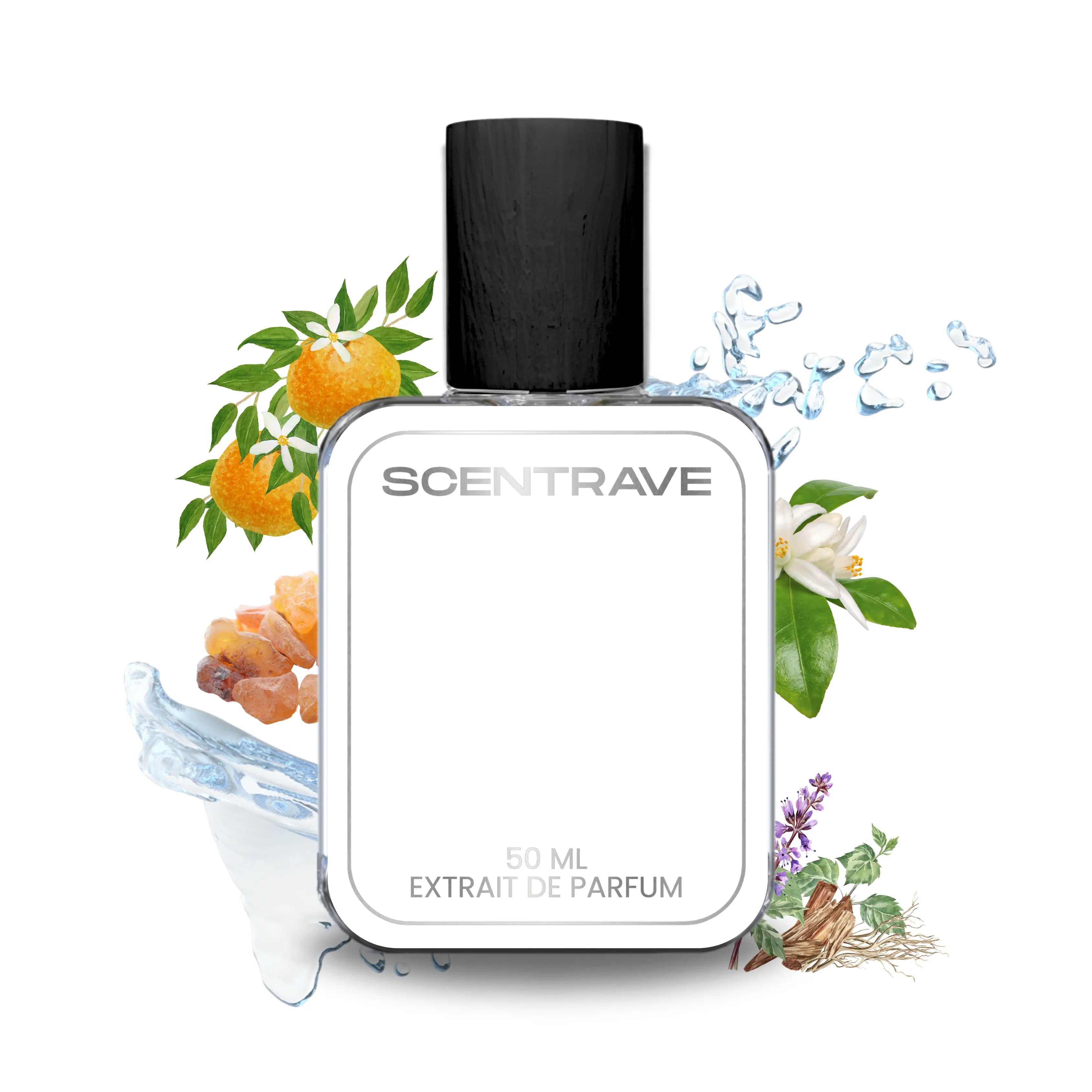 Aqva Mandrino by Scentrave — Inspired by BVLGARI Aqva Amara